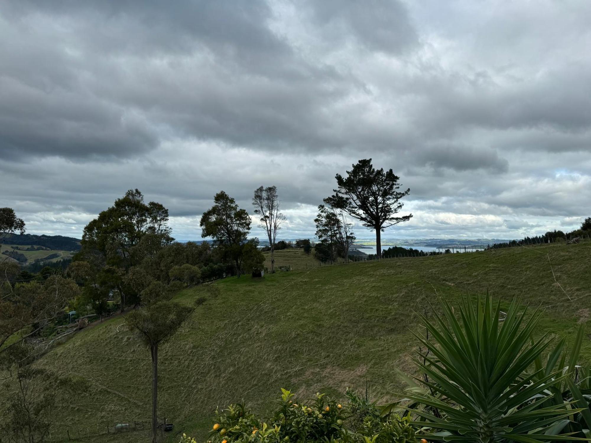 Private Cabin Close To The City Centre Whangarei Kültér fotó