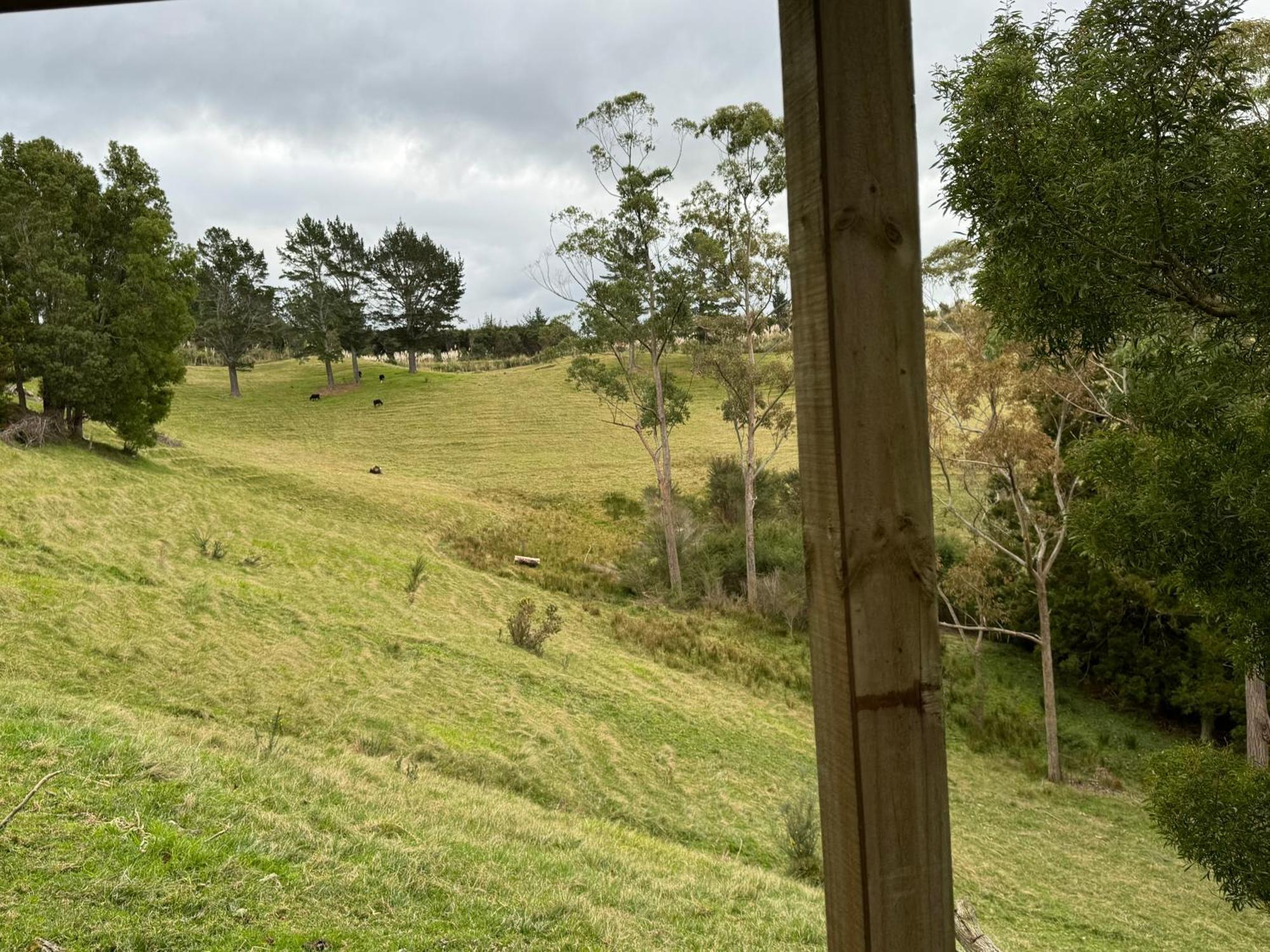 Private Cabin Close To The City Centre Whangarei Kültér fotó