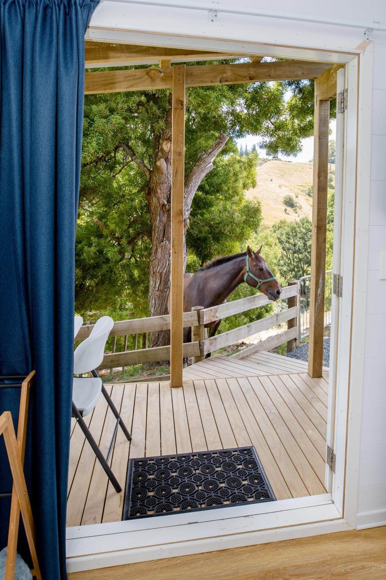Private Cabin Close To The City Centre Whangarei Kültér fotó