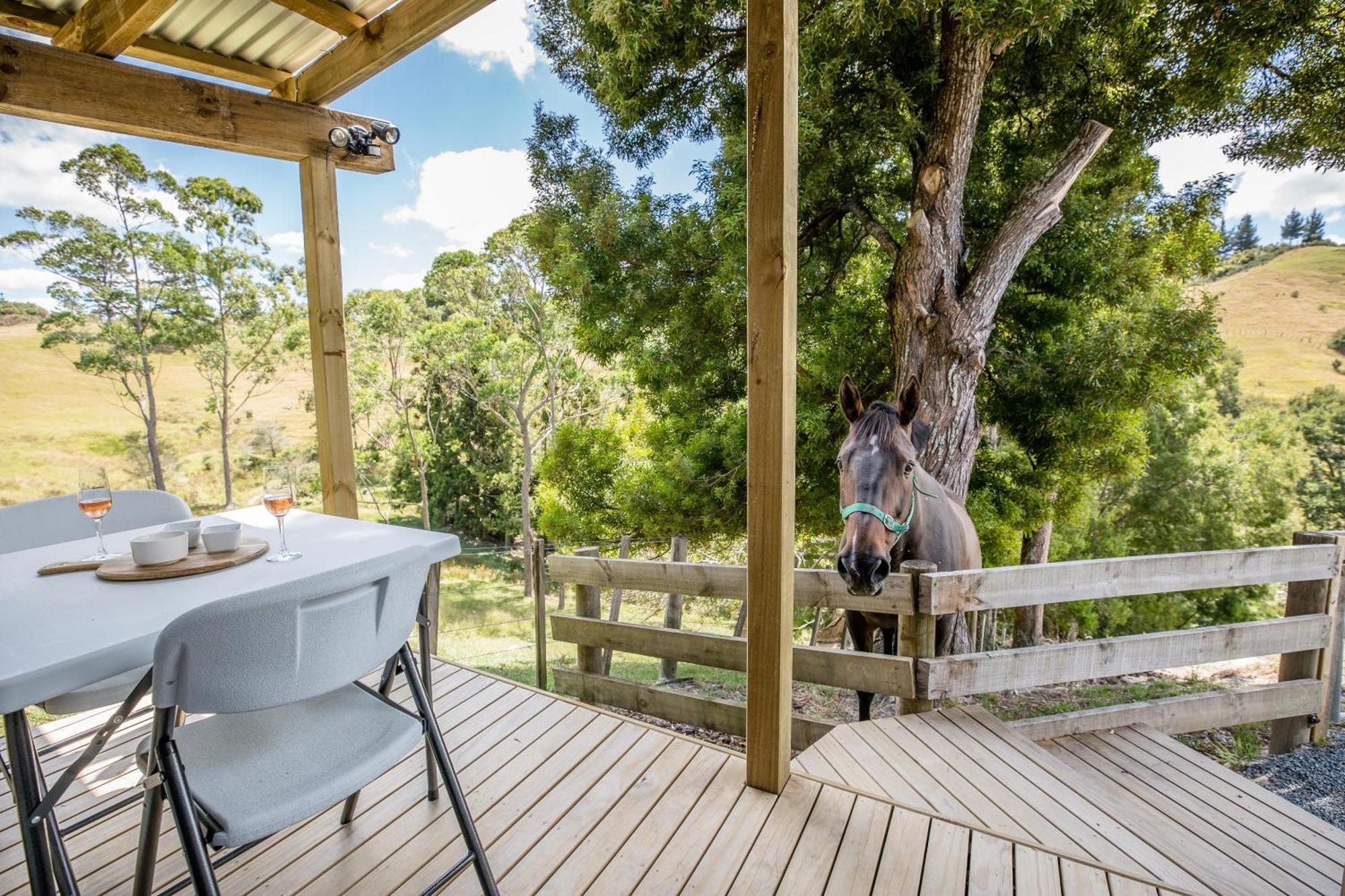 Private Cabin Close To The City Centre Whangarei Kültér fotó